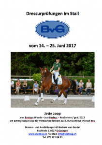 Inserat_CD_JETTE_2017